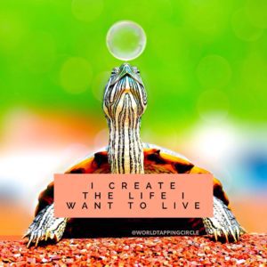 turtle quote create the life i want to live eft world tapping circle