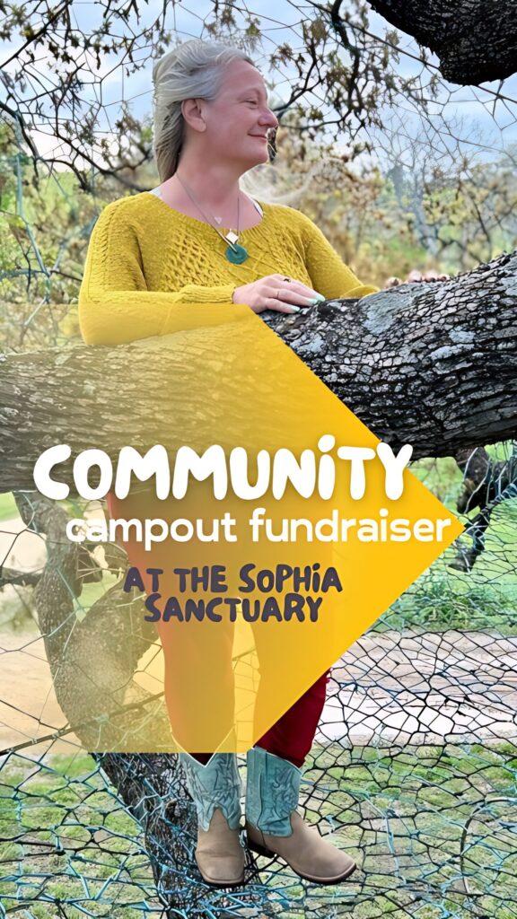 Community Campout Fundraiser at The Sophia Sanctuary May 3-5th